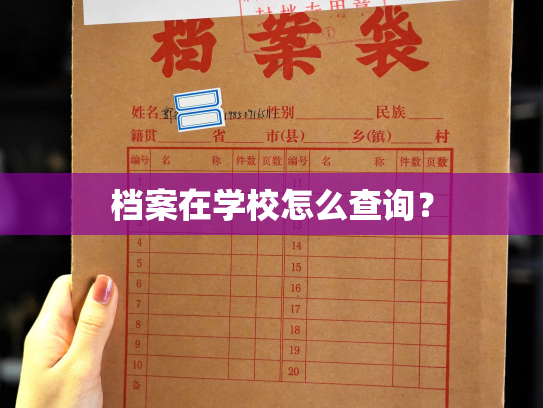 档案在学校怎么查询？