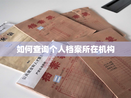 如何查询个人档案所在机构