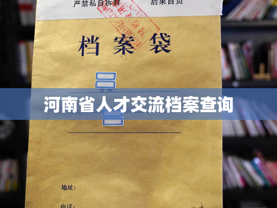 河南省人才交流档案查询