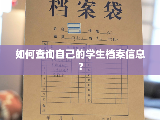 如何查询自己的学生档案信息？