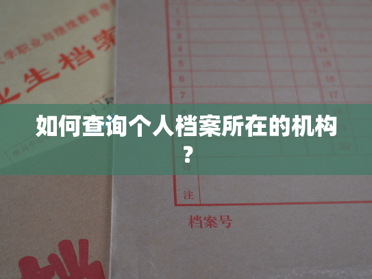 如何查询个人档案所在的机构？