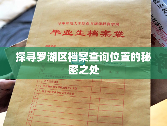 探寻罗湖区档案查询位置的秘密之处