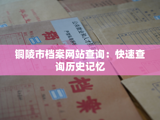 铜陵市档案网站查询：快速查询历史记忆