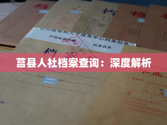 莒县人社档案查询：深度解析