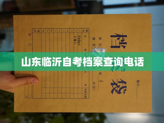 山东临沂自考档案查询电话