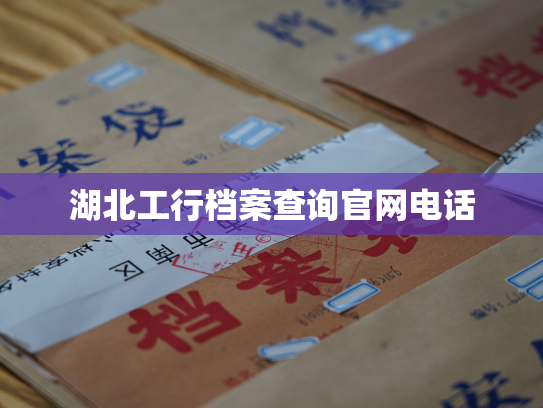 湖北工行档案查询官网电话