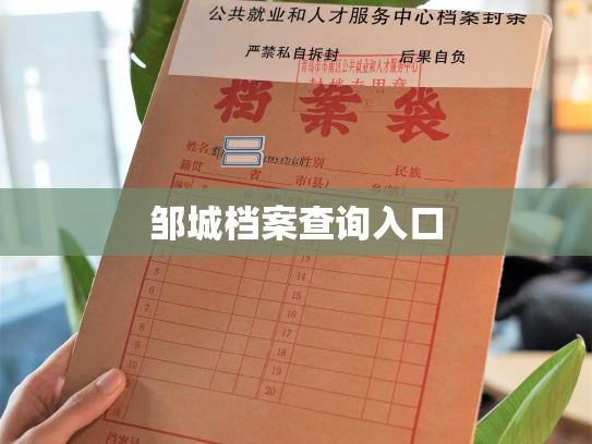 邹城档案查询入口