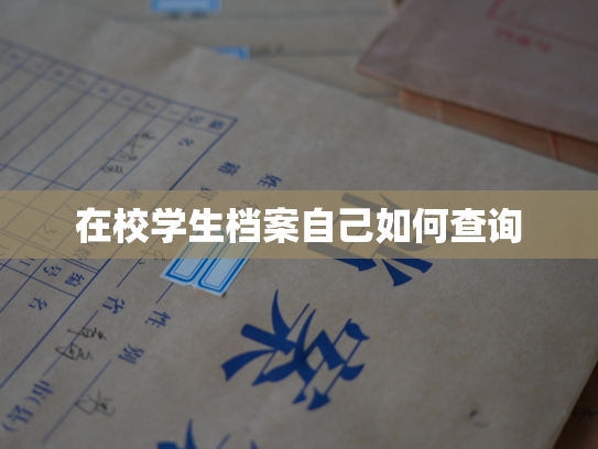 在校学生档案自己如何查询
