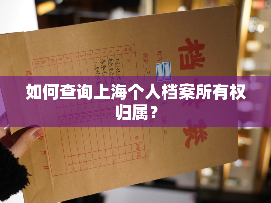 如何查询上海个人档案所有权归属？