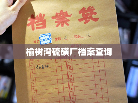 榆树湾硫磺厂档案查询