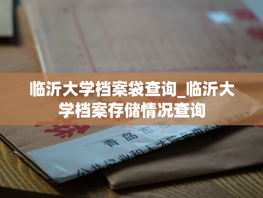 临沂大学档案袋查询_临沂大学档案存储情况查询