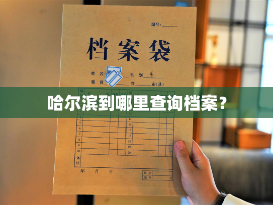 哈尔滨到哪里查询档案？
