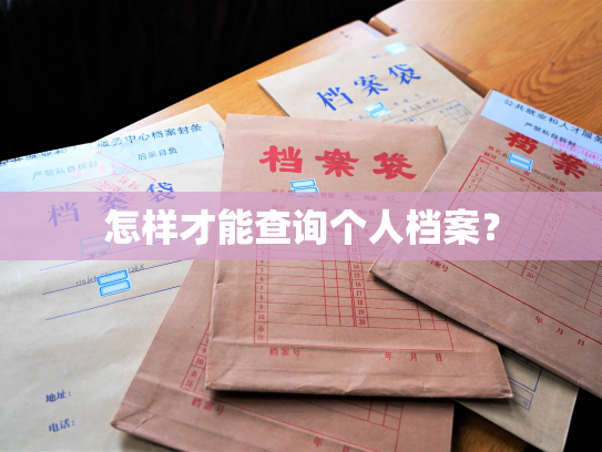 怎样才能查询个人档案？