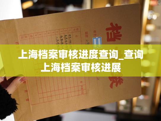 上海档案审核进度查询_查询上海档案审核进展
