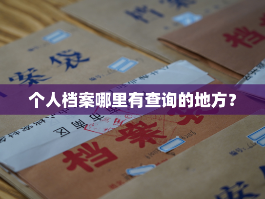 个人档案哪里有查询的地方？