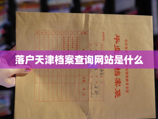 落户天津档案查询网站是什么