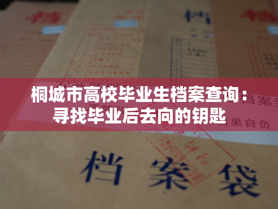 桐城市高校毕业生档案查询：寻找毕业后去向的钥匙