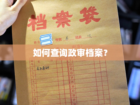 如何查询政审档案？