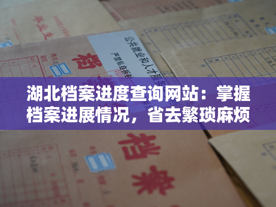 湖北档案进度查询网站：掌握档案进展情况，省去繁琐麻烦。