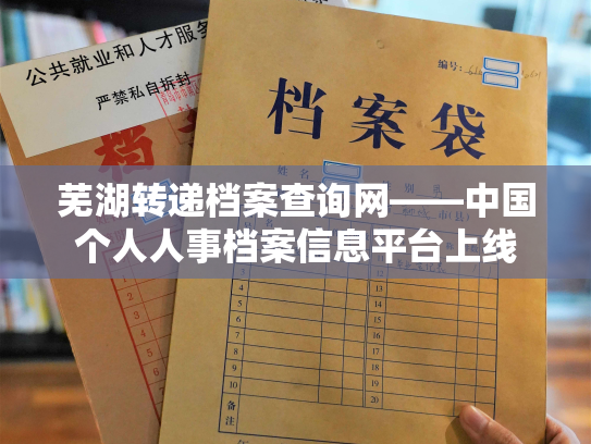 芜湖转递档案查询网——中国个人人事档案信息平台上线