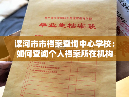 漯河市市档案查询中心学校：如何查询个人档案所在机构