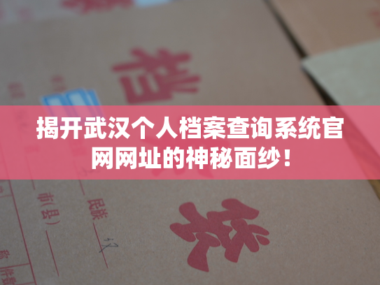 揭开武汉个人档案查询系统官网网址的神秘面纱！