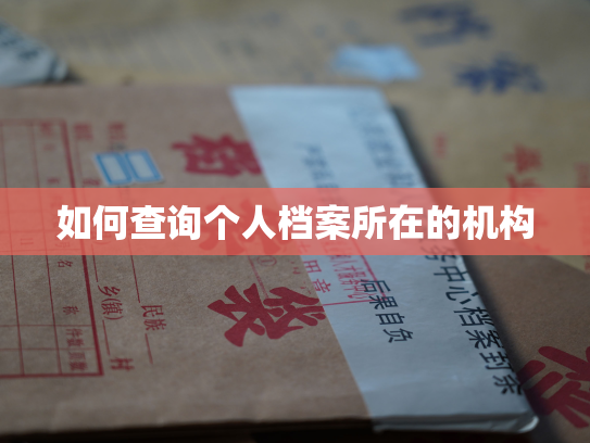 如何查询个人档案所在的机构