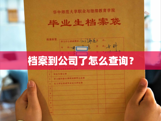 档案到公司了怎么查询？
