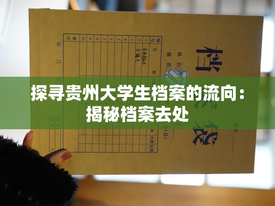 探寻贵州大学生档案的流向：揭秘档案去处
