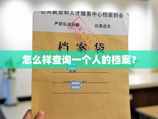 怎么样查询一个人的档案？