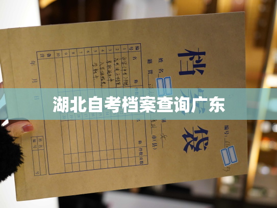 湖北自考档案查询广东