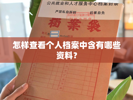 怎样查看个人档案中含有哪些资料？