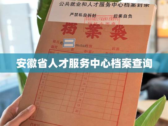 安徽省人才服务中心档案查询