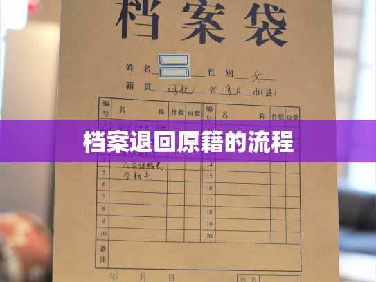 档案退回原籍的流程