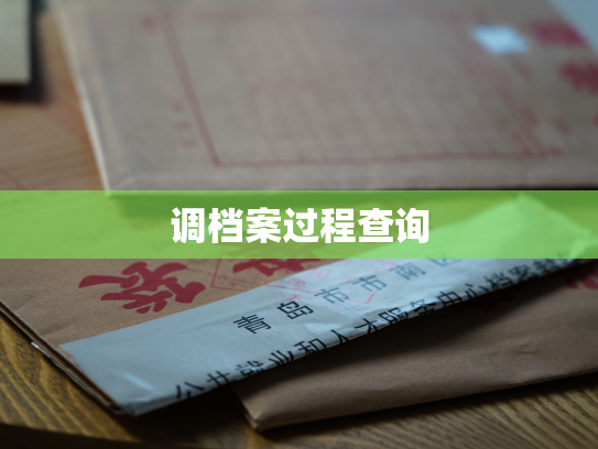 调档案过程查询