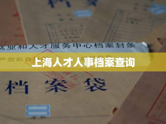 上海人才人事档案查询