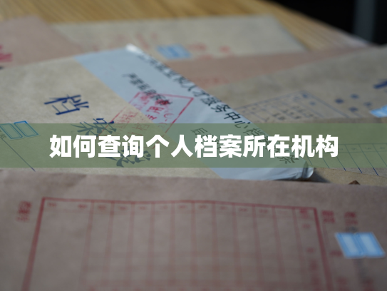 如何查询个人档案所在机构