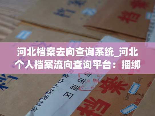 河北档案去向查询系统_河北个人档案流向查询平台：捆绑您的档案去处！