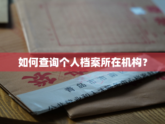 如何查询个人档案所在机构？