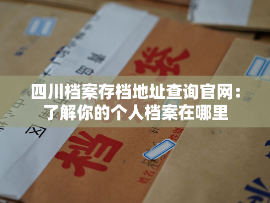 四川档案存档地址查询官网：了解你的个人档案在哪里