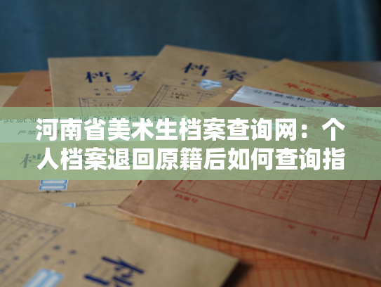 河南省美术生档案查询网：个人档案退回原籍后如何查询指南