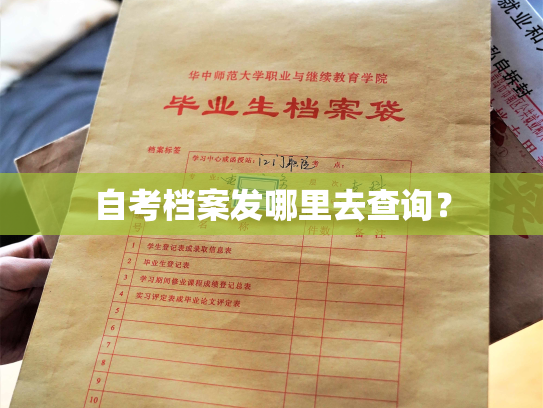 自考档案发哪里去查询？