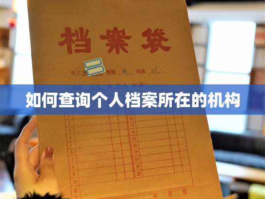 如何查询个人档案所在的机构