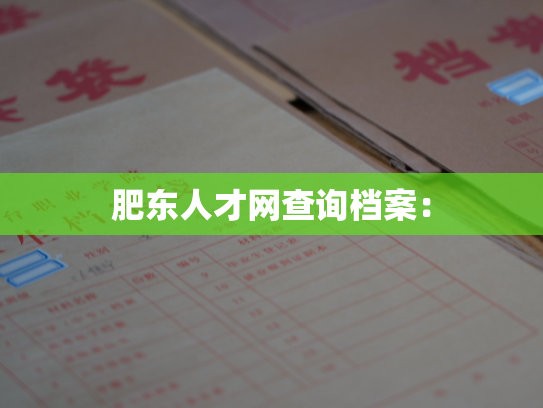 肥东人才网查询档案：