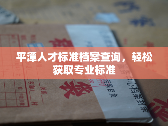 平潭人才标准档案查询，轻松获取专业标准