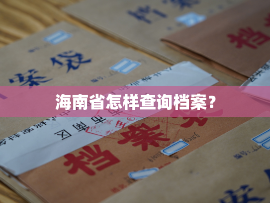 海南省怎样查询档案？