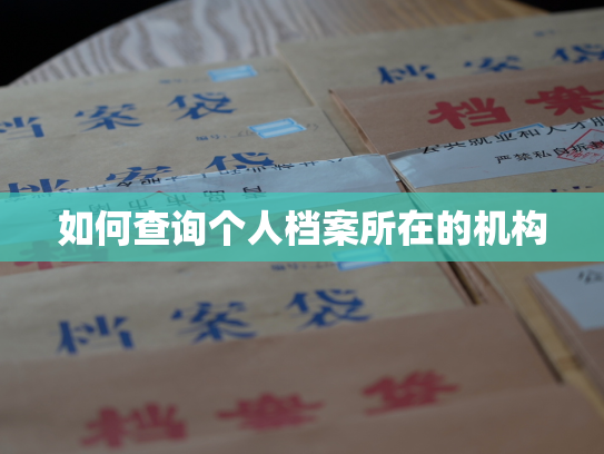 如何查询个人档案所在的机构