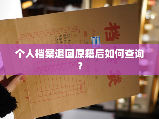 个人档案退回原籍后如何查询？