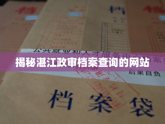 揭秘湛江政审档案查询的网站