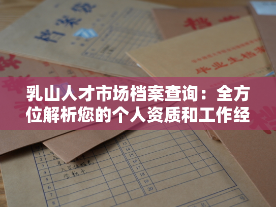 乳山人才市场档案查询：全方位解析您的个人资质和工作经历